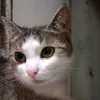 edit_videos.n0va