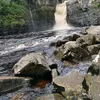 ant_ni729