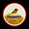 trumpetlive