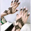 jamila.ben175