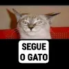botavideos