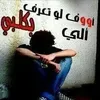 user8088007216305