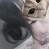 babyanny_oo