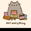 catl0ver400