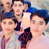 bashir4646