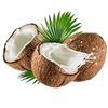 coconut1942v2