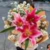 lilly_09066
