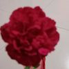 nafiah381