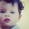 user219499011
