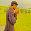 shazadshazad5564