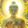 www.titok.com.dparkhant