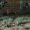 bersamamuakumenunggu