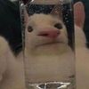 이붸뷉