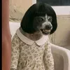 hide.com11