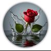 merna1343