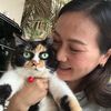tikgie_cats