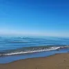 kriego09