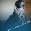 mohamadaboodi8