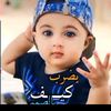 user41123485280095