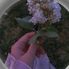 user034165921