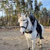 naimaa798