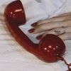 hadool_19974
