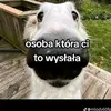 fredzia.sigma