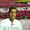 noor.hussain1575