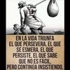 judiscifuentes753