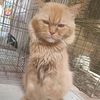 hanin56341