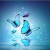 blu.nabi90