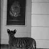 ch1r4_08