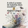 alex.souza4293