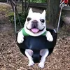 user_66568