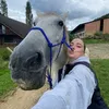 cendristar