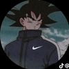 1el.dende1