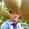 Trần Hùng