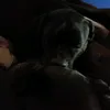 natacanecorso