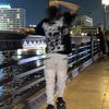 amir.aldon