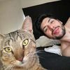 el.gato.lorenzo7