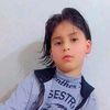 user82265147852220