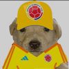 davidsantiago8620