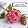 user63941263624853