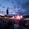 jess_8456