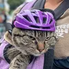 harrisridesbikes