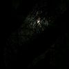 alisher_dd1