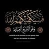 amanyahmed9130