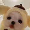 .cloud_boba
