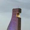 nemasanse8