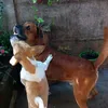 thor.e.tobias